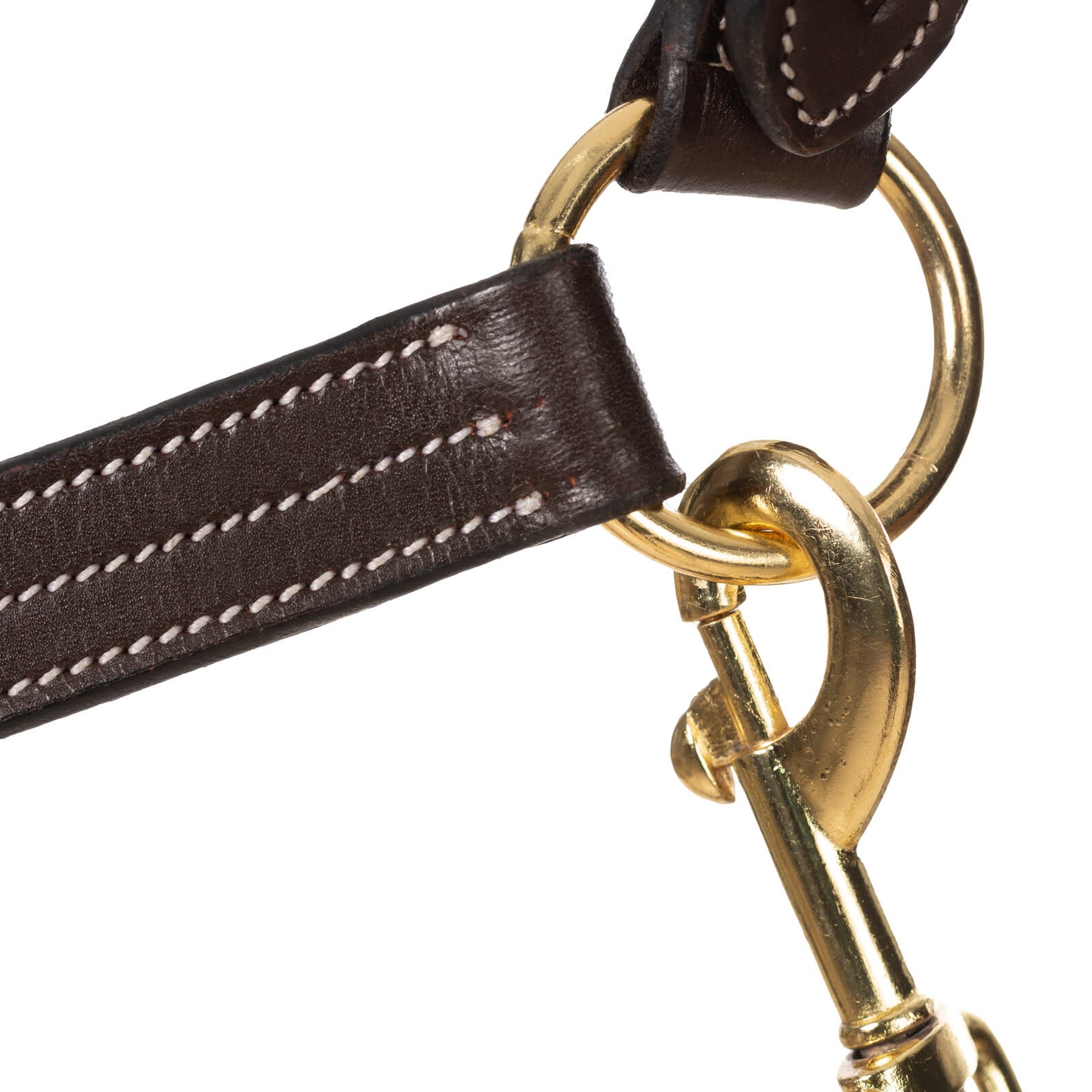 Equinavia Valkyrie Triple Stitched Halter