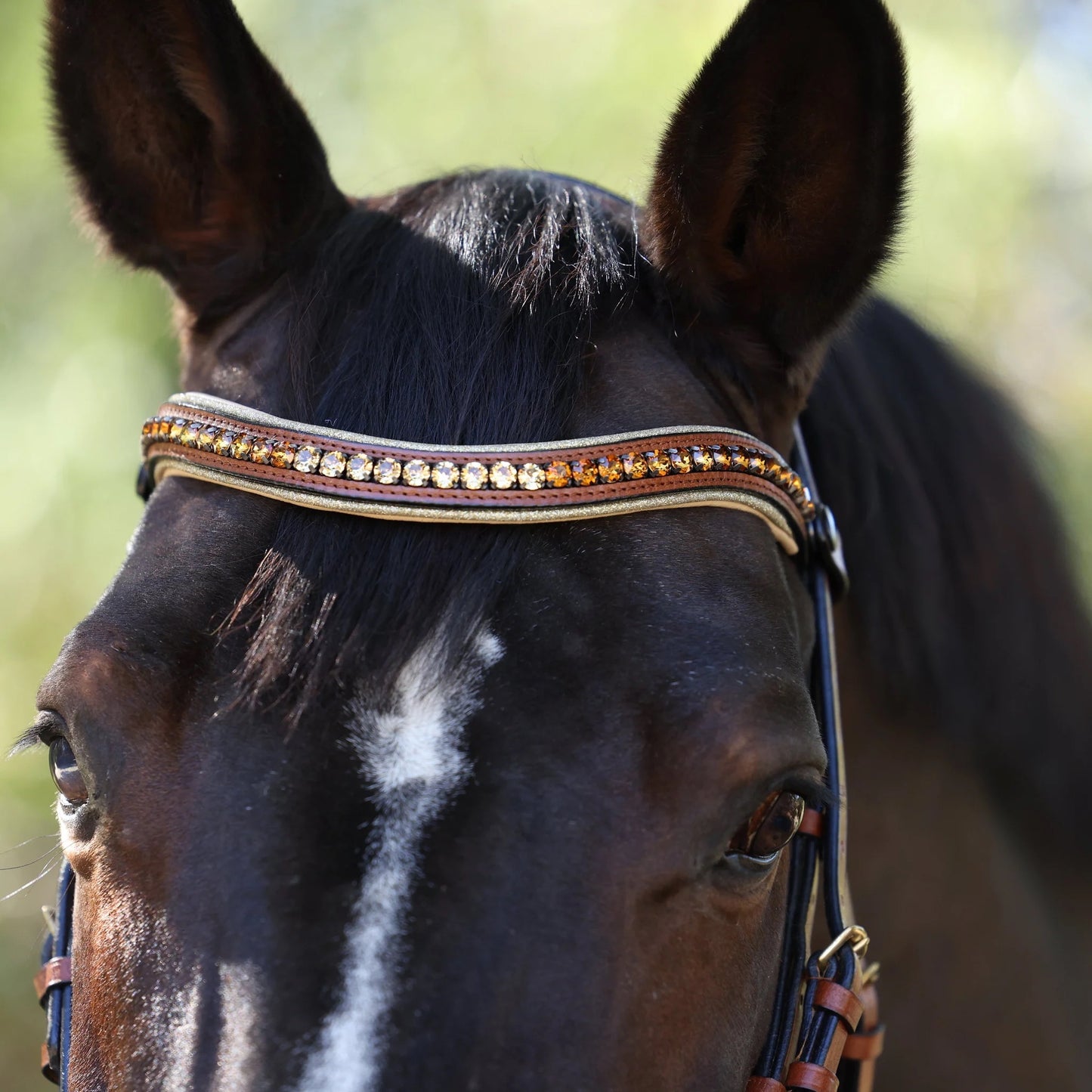 Halter Ego - The Willow Cognac Leather Snaffle Bridle