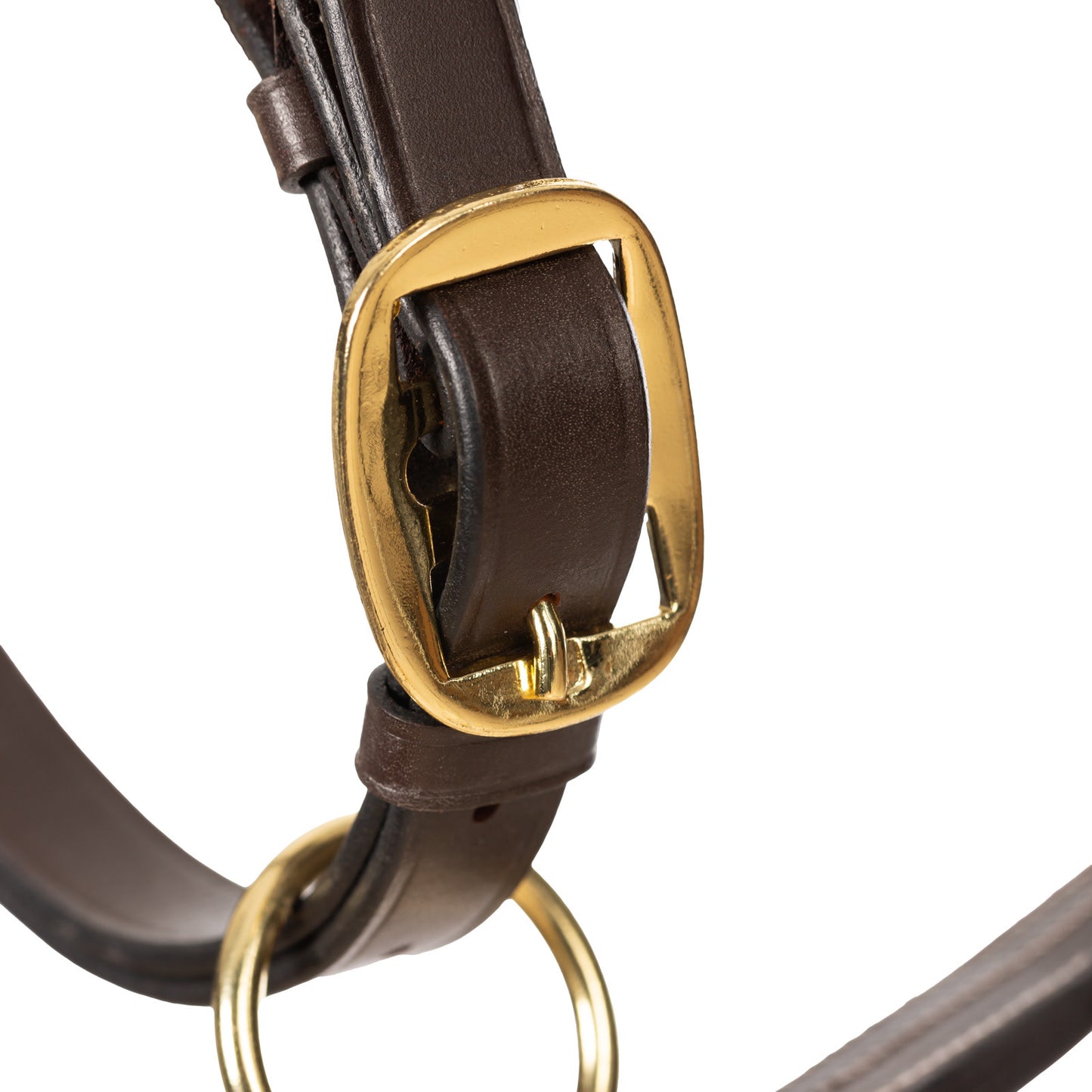 Equinavia Valkyrie Triple Stitched Halter