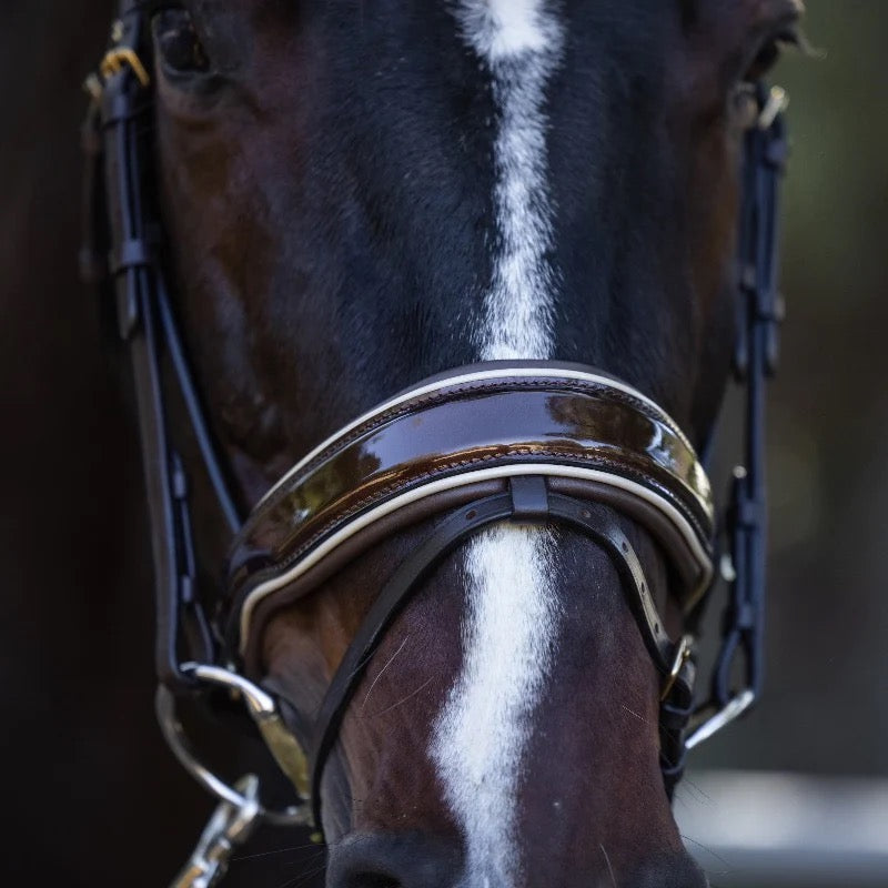 Halter Ego - The Catalonia Metallic Bronze Leather Snaffle Bridle