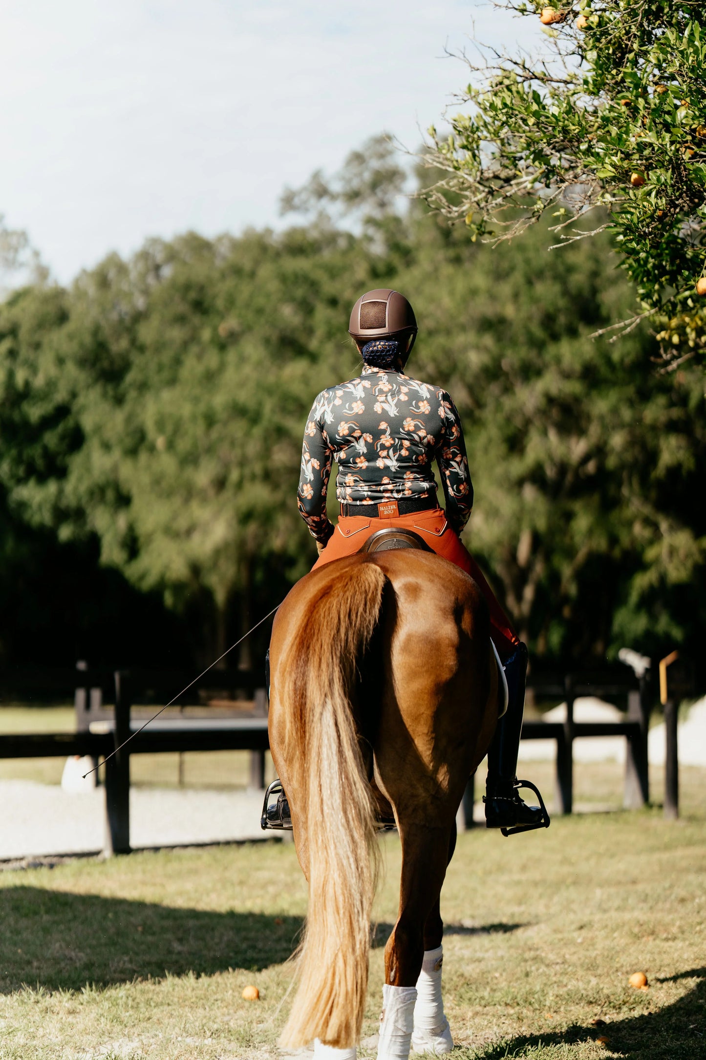 Deinhardt Designs Impulsion & Straightness WENDY Long Sleeved Training Shirt