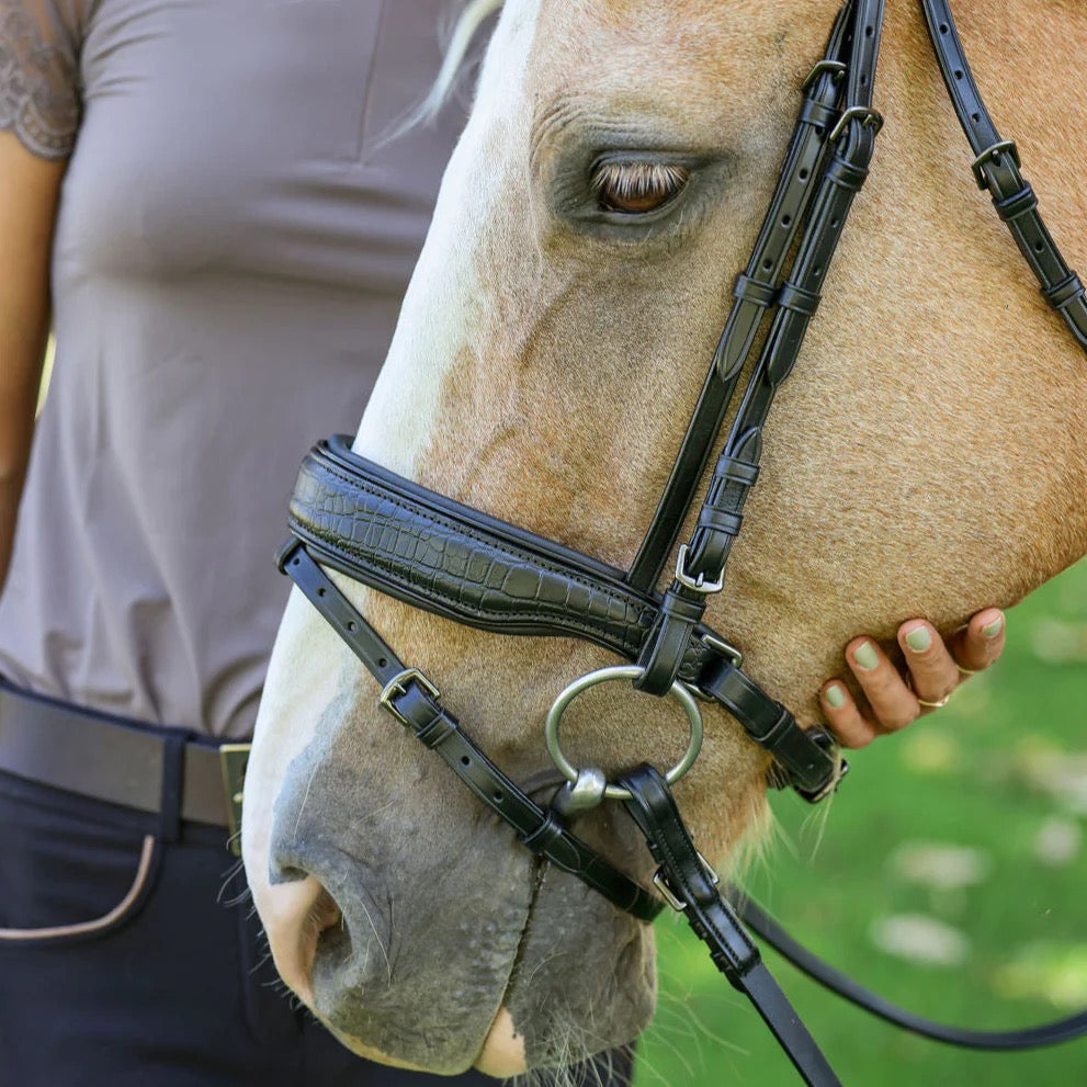 Halter Ego - Doc Marten Black Leather Snaffle Bridle