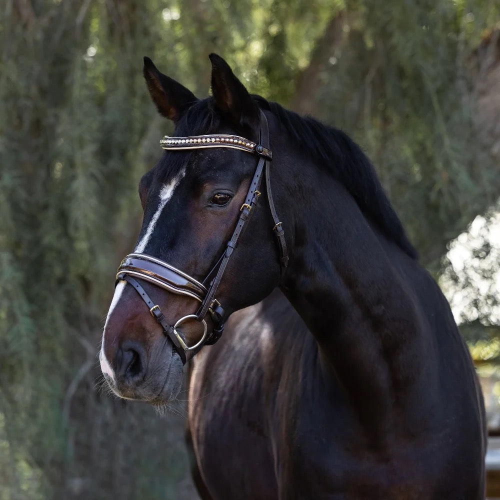 Halter Ego - The Catalonia Metallic Bronze Leather Snaffle Bridle