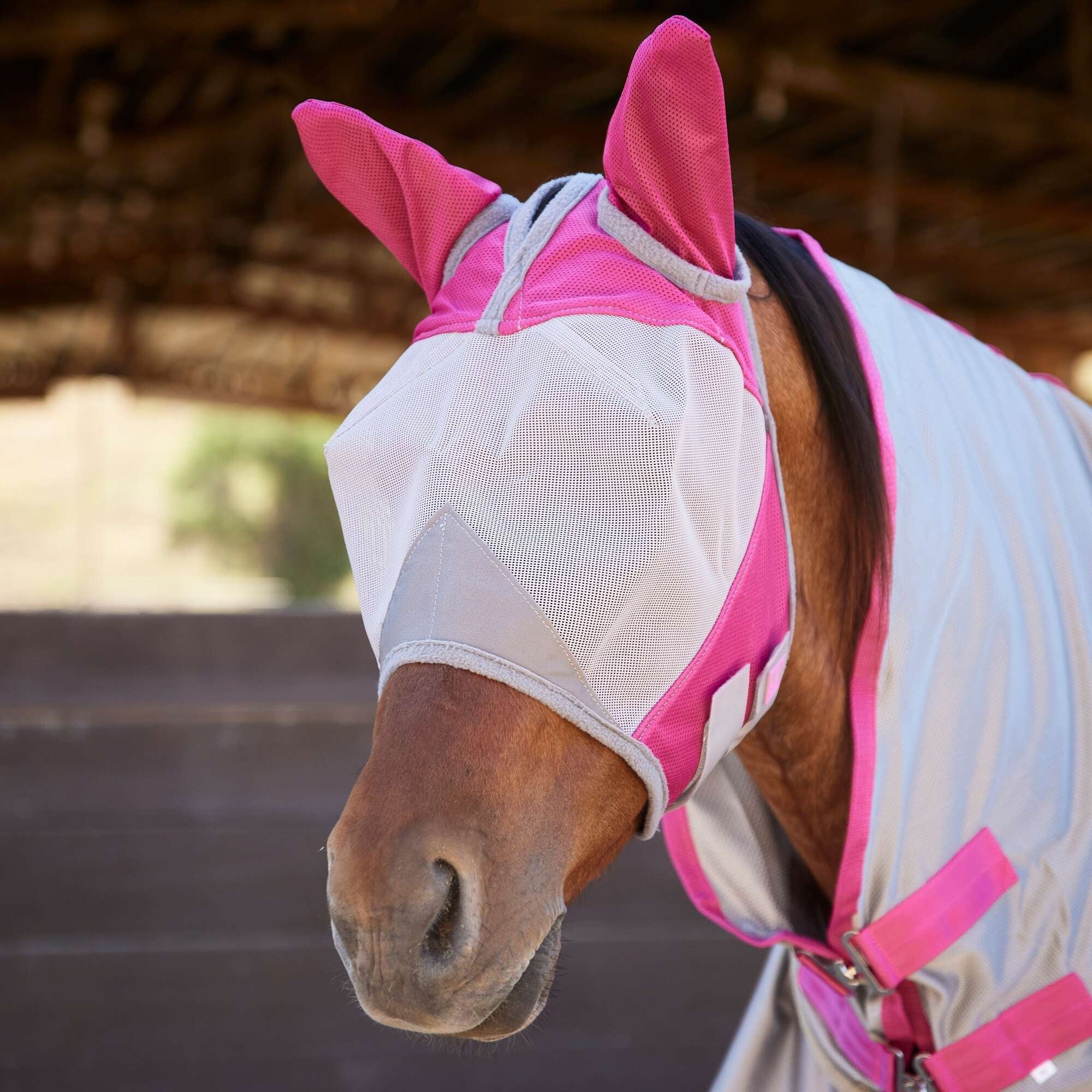 Fly Protection – Elite Equine Enterprises