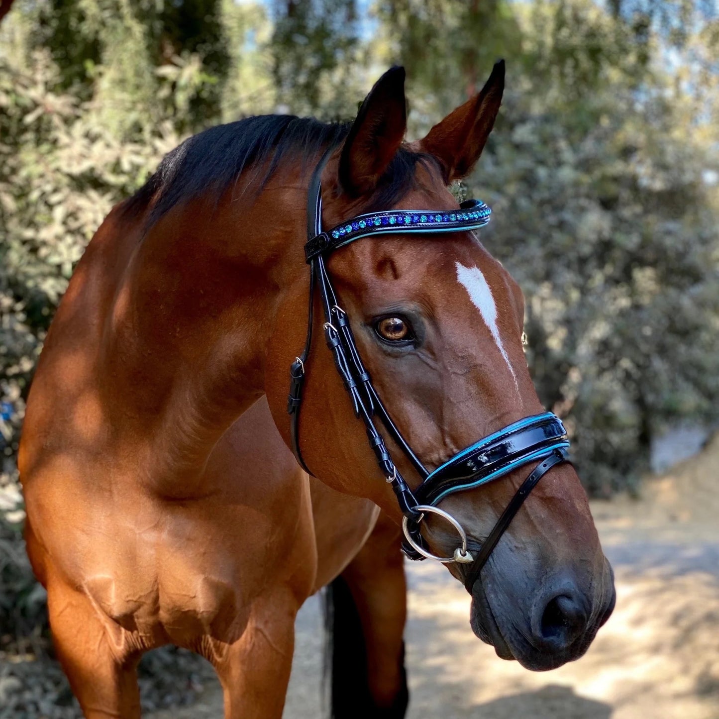 Halter Ego - Mykonos Snaffle Bridle