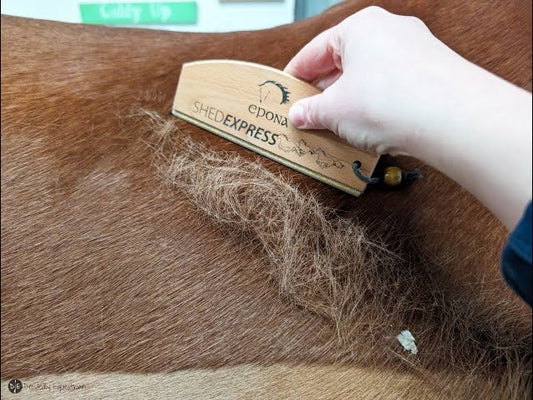 Epona Shed Express Gentle Shedding Blade