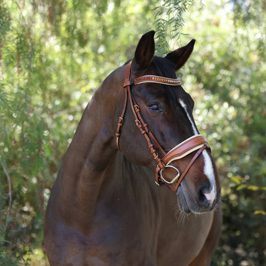 Halter Ego - The Willow Cognac Leather Snaffle Bridle