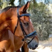 Halter Ego - Mykonos Snaffle Bridle