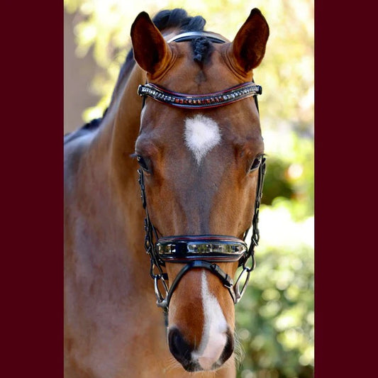 Halter Ego - The Hayworth - Black Patent Snaffle with Burgundy Patent Piping