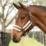 Equinavia Valkyrie Fleece Halter